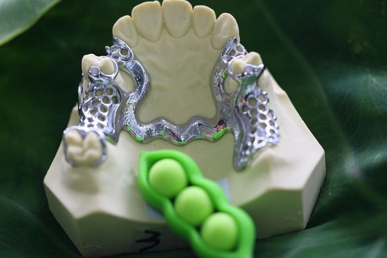 সিআর কো আংশিক ডেন্টার মেটাল ফ্রেমওয়ার্ক