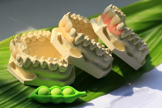 নমনীয় অদৃশ্য দাঁত