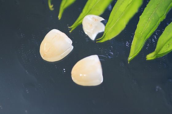 প্রাকৃতিক EMAX ডেন্টাল ক্রাউন